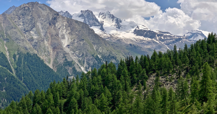 Toamna este anotimpul perfect pentru a vizita unele dintre cele mai frumoase parcuri naționale din Italia / Unsplash Toamna este anotimpul perfect pentru a vizita unele dintre cele mai frumoase parcuri naționale din Italia / Unsplash