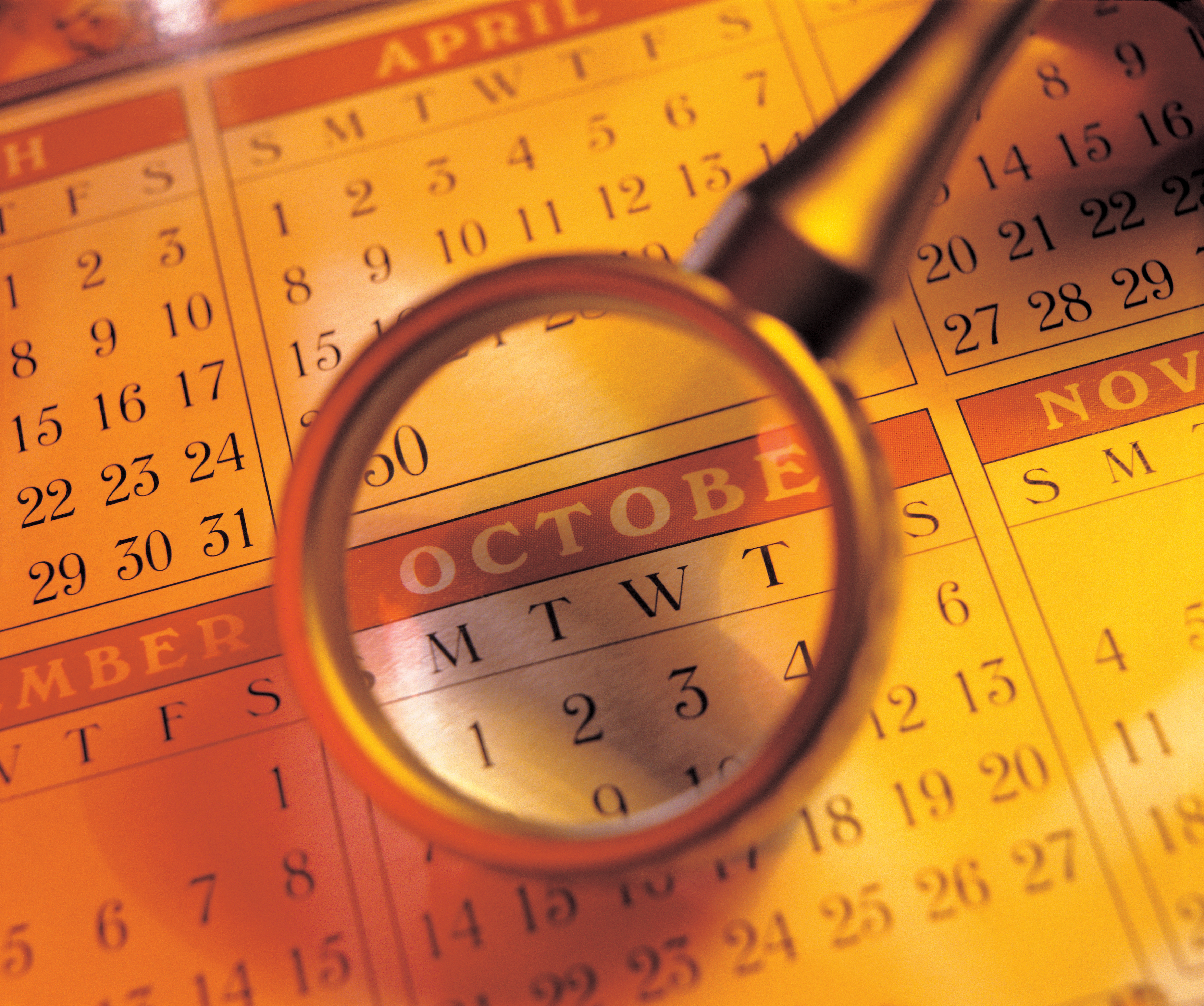 Dichiarazione Imu 2019 Idealistanews