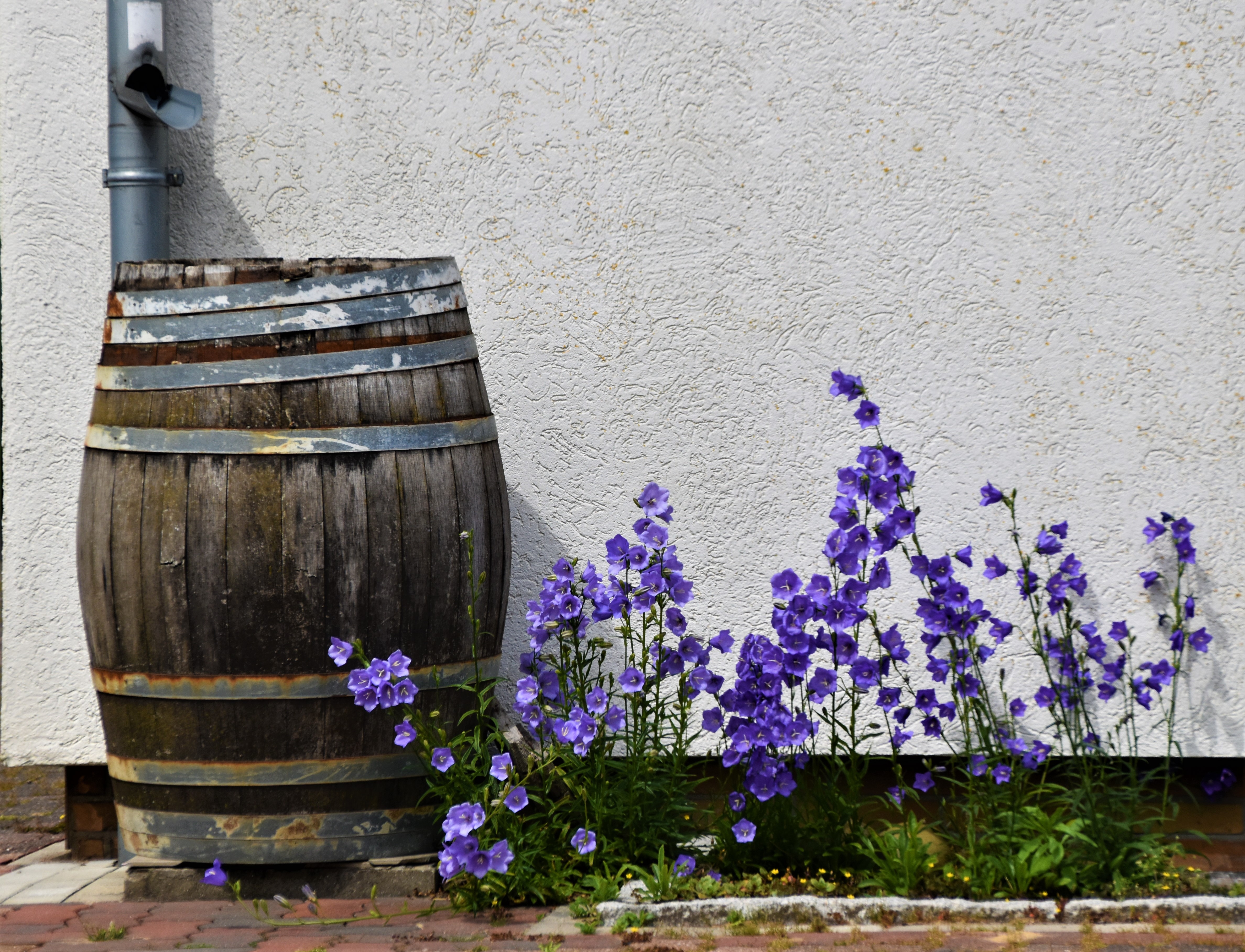 Botti per il vino o l'acqua