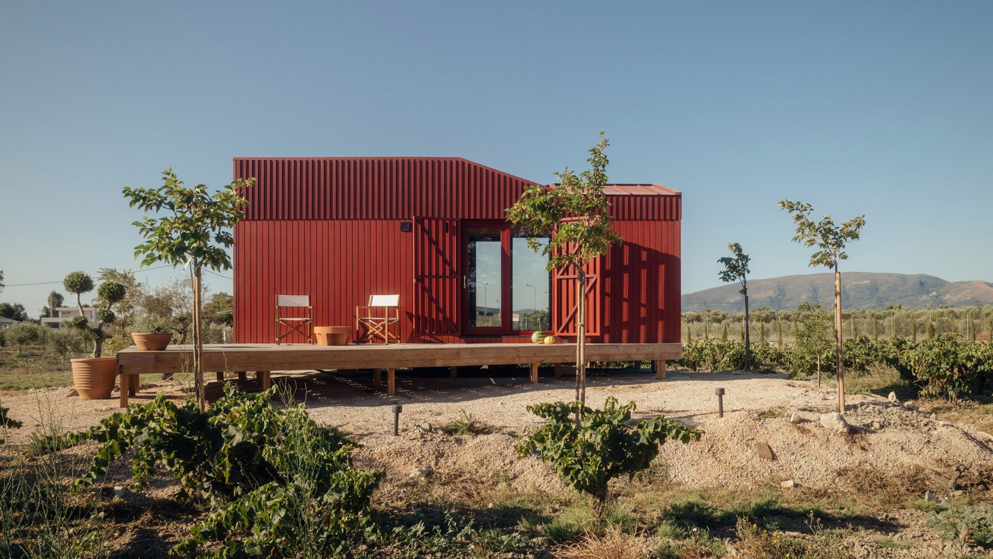 The Root è una casa vacanze prefabbricata e mobile immersa tra uliveti e vigneti sull'isola di Zante