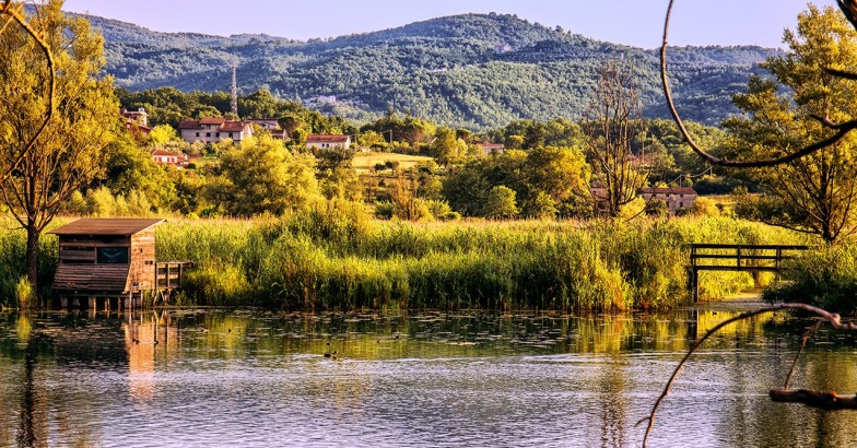 mete nel lazio