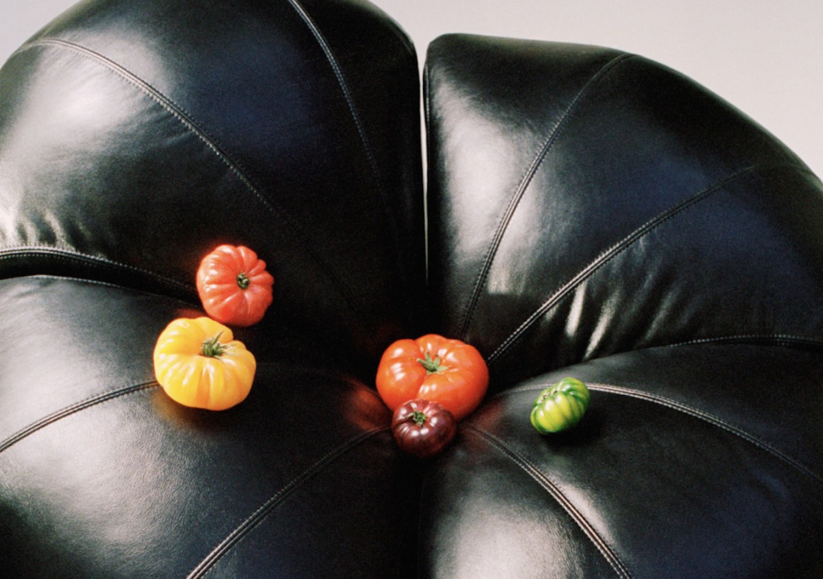 Sedia Tomato