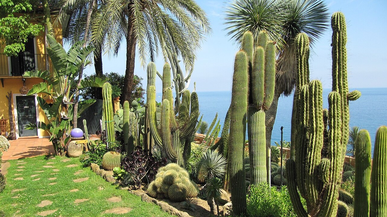 bordighera citta delle palme