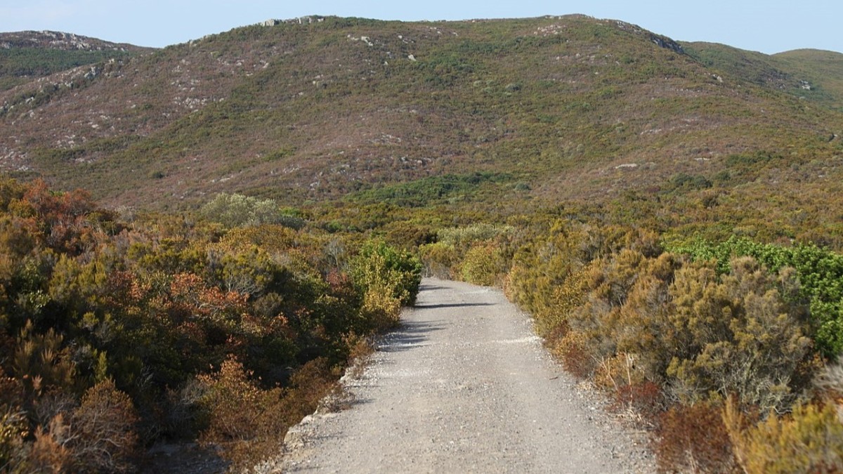 cosa vedere a capraia
