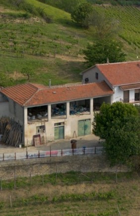 Urgent properties for sale