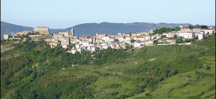 montazzoli2