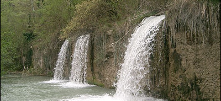 montazzoli5