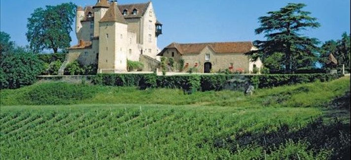 In vendita il castello di d'artagnan (foto)