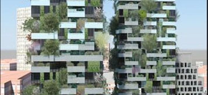 bosco2