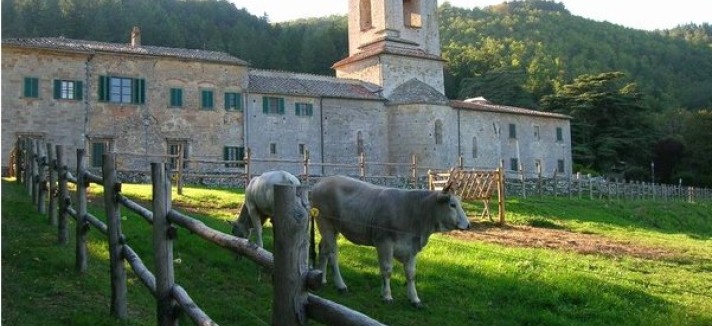 badia10