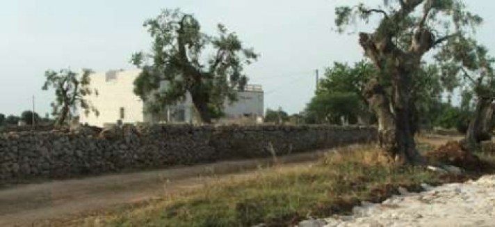 masseria2