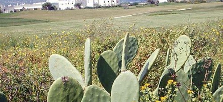 masseria_181606