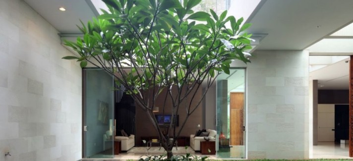 casa-jakarta11