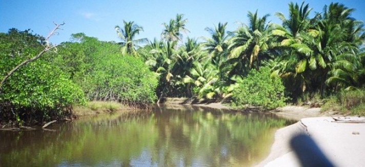 islasanjose9
