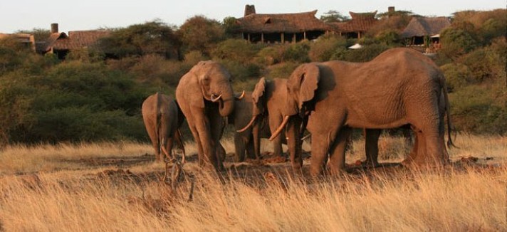 ol-donyo-kenia22
