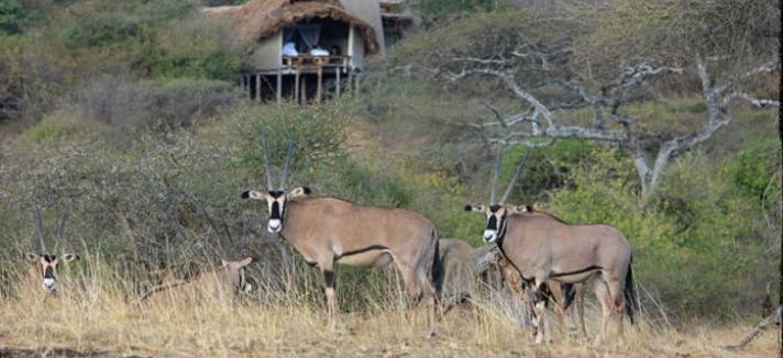 ol-donyo-kenia23