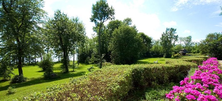 castillomoderno19