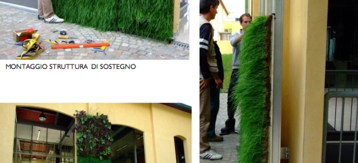 verde5