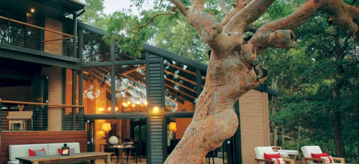 sydney-beachhouse-tree-deck_0