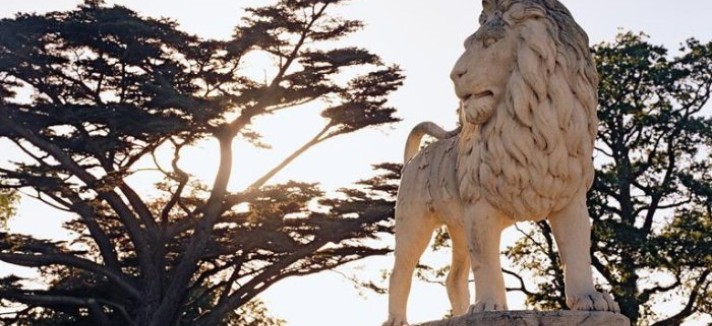 this-lion-statue-will-impress-visitors-when-they-arrive