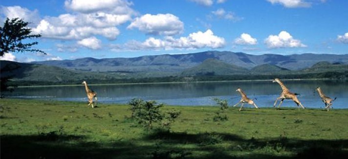 HippoPointWildlifeSanctuary633818794953460333_Big