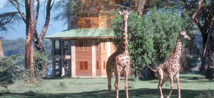 HippoPointWildlifeSanctuary633828023566611526_Big