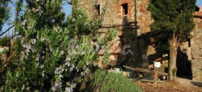 podere