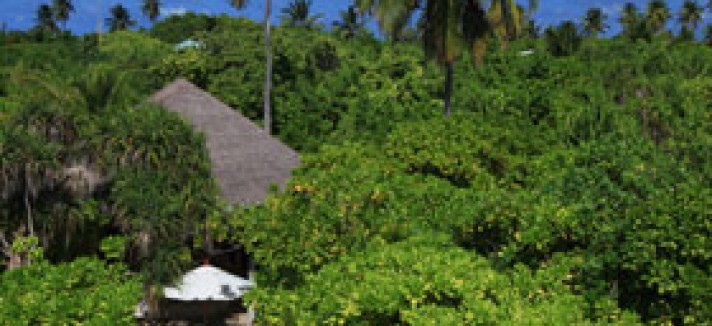 Beach_Villa_Aerial4