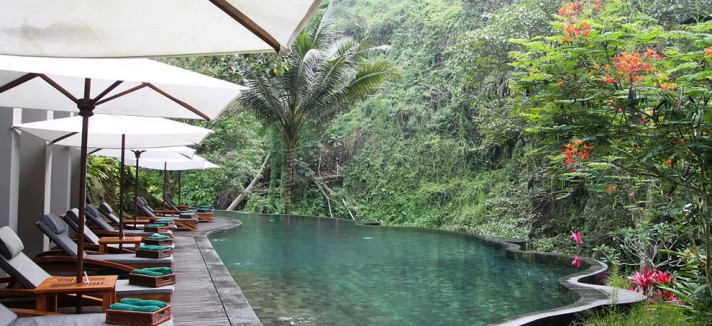 Infinity-Pool-at-Maya-Ubud-Overlooking-the-Forest
