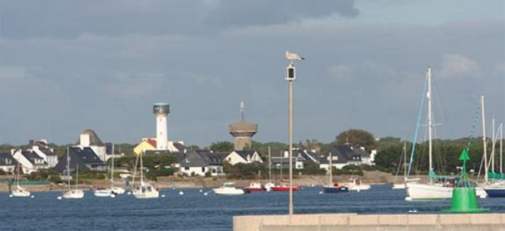 faro7