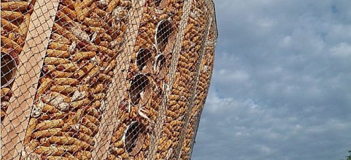 costado