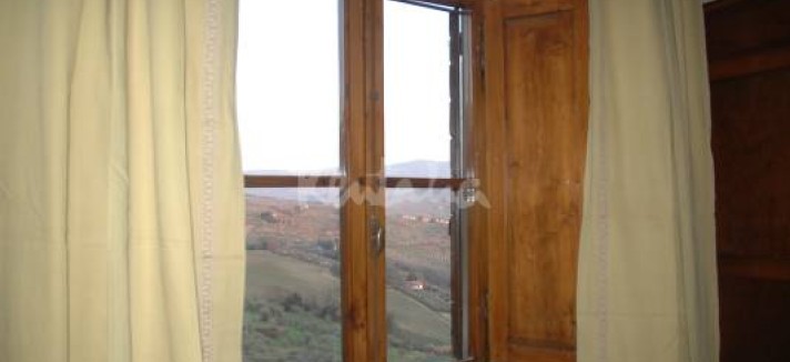 img1788684_g