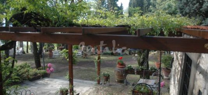 img1788694_g