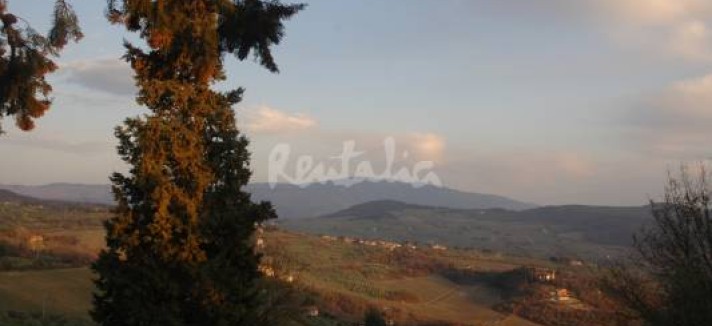 img1788740_g