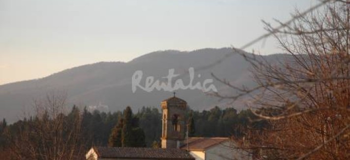 img1788974_g