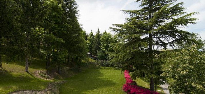 ImageReaderCAK8NGMP