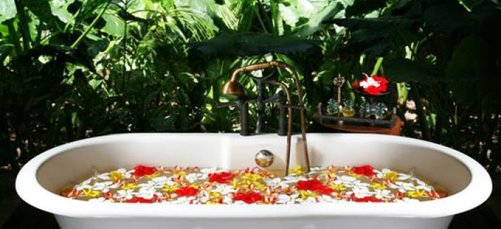 MAIA_spa_2