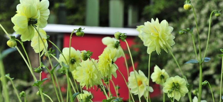 gardensAntumalal-9.jpg.1024x0
