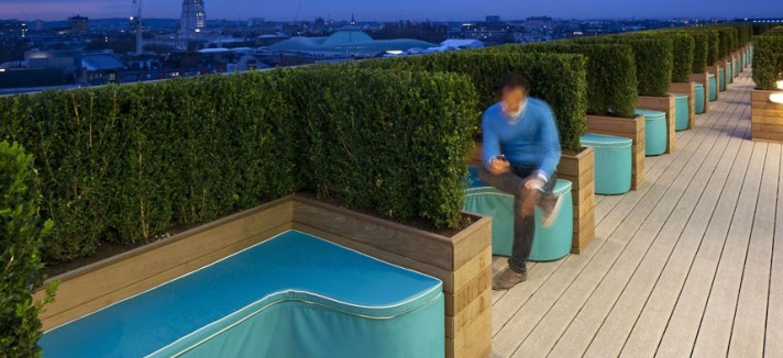 hedge-your-bets_2303572k