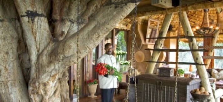 its-pretty-clear-why-they-called-it-the-tree-lodge-the-entire-structure-wraps-around-this-massiv