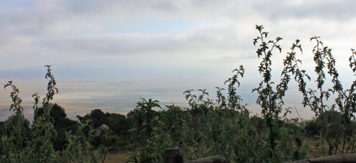 lets-take-a-closer-look-at-that-view-even-on-a-foggy-morning-it-was-striking
