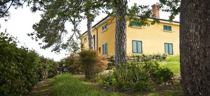 there-are-a-few-wooded-areas-on-the-property