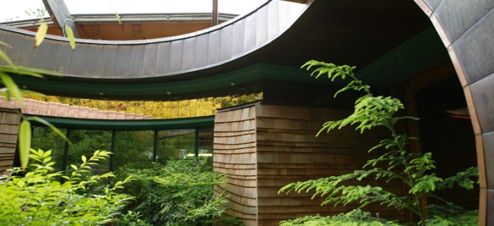treehouse3