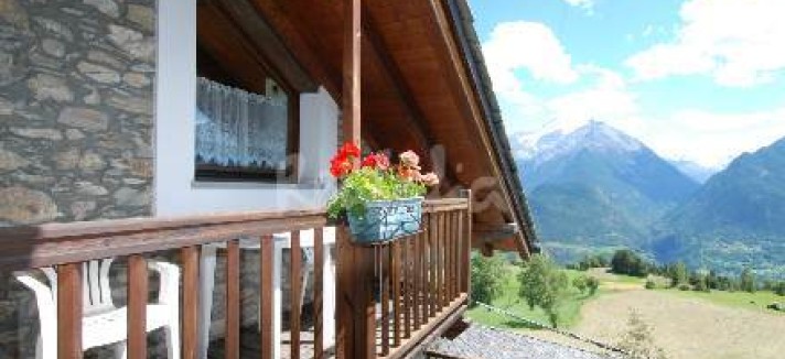 img1835365_g