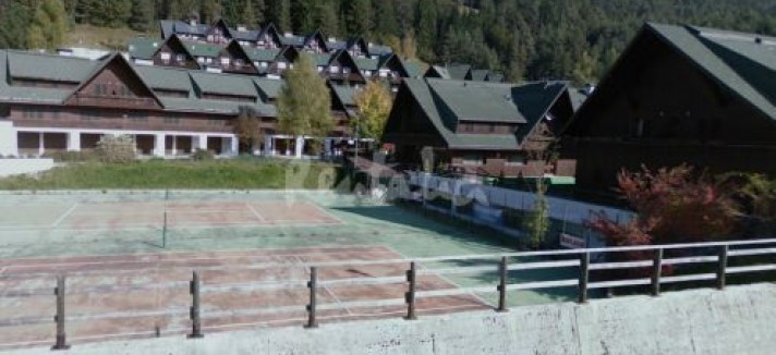 img2005955_g