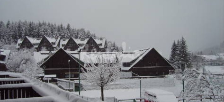 img2036722_g
