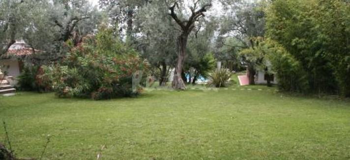 img2086669_g