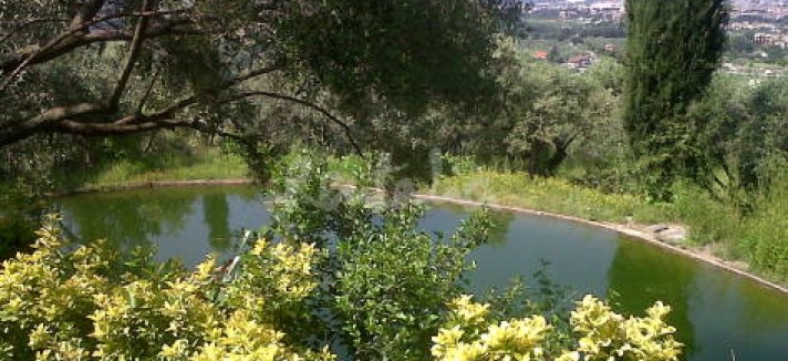 img2086681_g