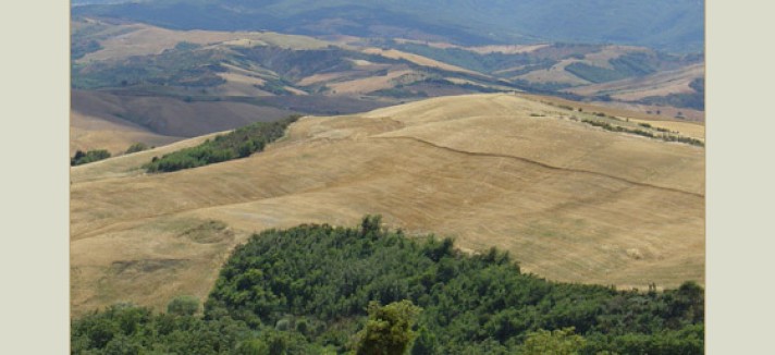 12_-_Panorama