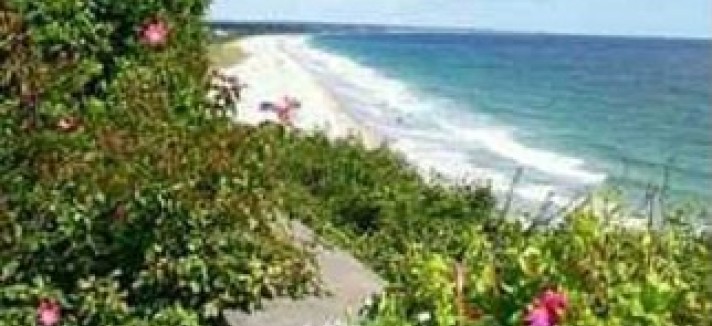 Beach2-0e979b-322x430